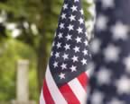 flag 2.jpg (44kb)
